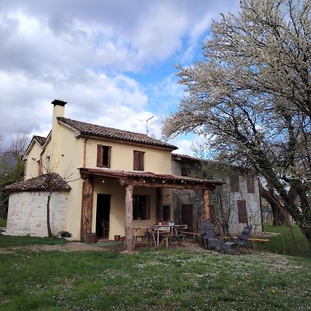 La Caneveta Al Piave Valdobbiadene Exterior foto